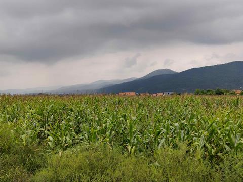 Bijes, sklanjaj se tko može, orkanska bura stiže