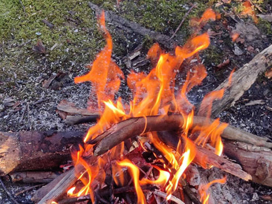 Emocije i ljudsko biće, tko je čiji gospodar – 2. dio 