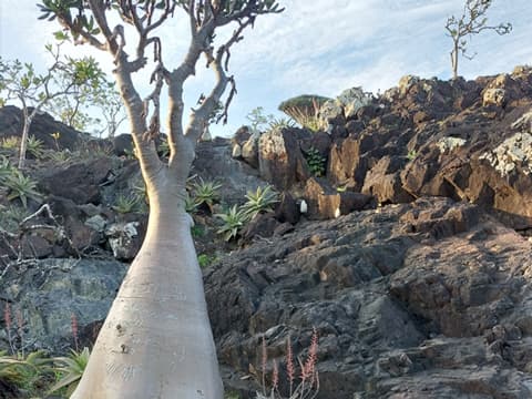 Hipohondrija ili pogled normalnog funkcioniranja tijela kroz mikroskop i preuveličavanje svojih simptoma