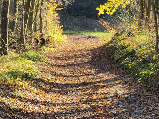 Postavlja se pitanje: Kako pripremiti dijete za školu?