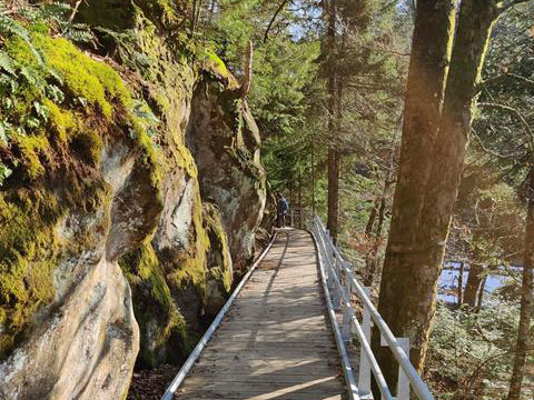 Kompleks manje vrijednosti ili prelazak preko mosta na sunčanu stranu 