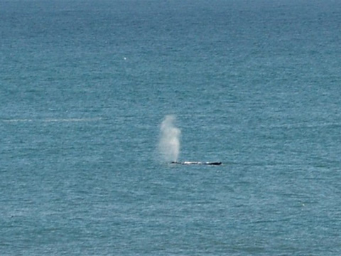 Manipulatori ili osobe koje vas uvjeravaju kako je more mirno i odlično za plivanje