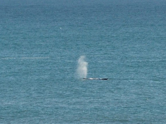 Manipulatori ili osobe koje vas uvjeravaju kako je more mirno i odlično za plivanje