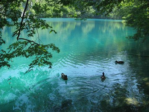 Prijateljstvo ili zrake sunca u zagrljaju s dušom i srcem 