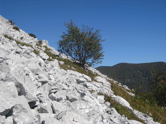 Samopouzdanje ili čisto, mirno i snažno nebo 