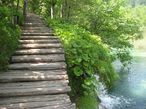 Tolerancija ili izvor poštovanja, prihvaćanja i uvažavanja 